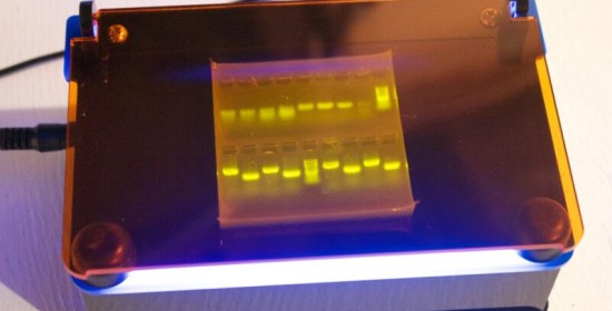blueBox™ S Transilluminator with Imaging Hood